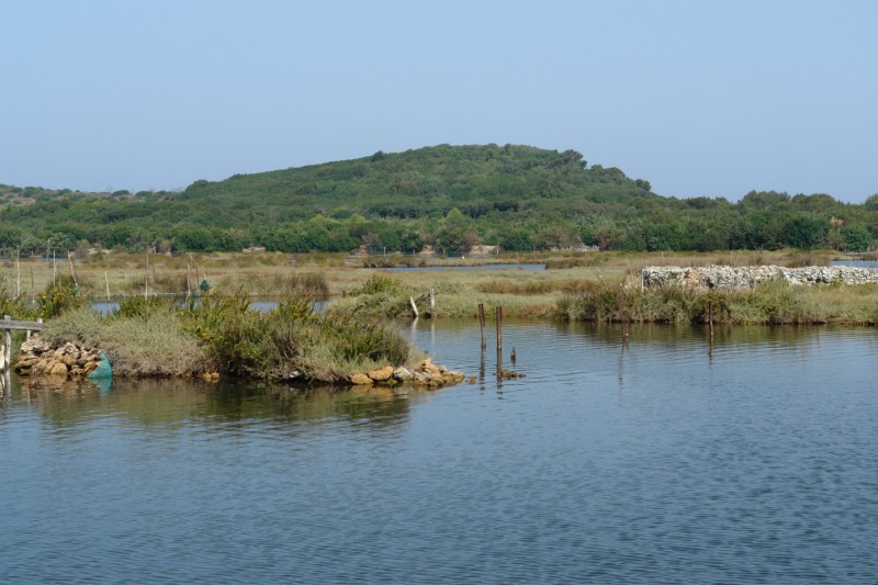 Parc National d'El Kala